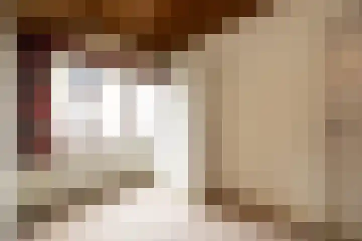 Dommeldal 62 Boxtel thumbnail 34