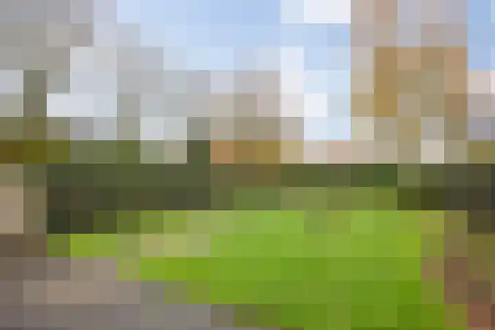 Dommeldal 62 Boxtel thumbnail 42