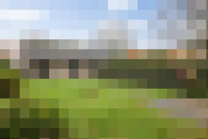 Dommeldal 62 Boxtel thumbnail 5