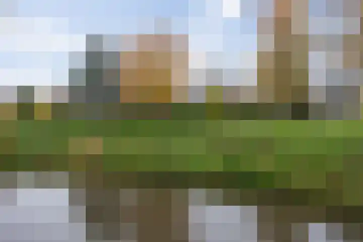 Dommeldal 62 Boxtel thumbnail 6