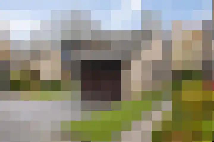 Dommeldal 62 Boxtel thumbnail 8