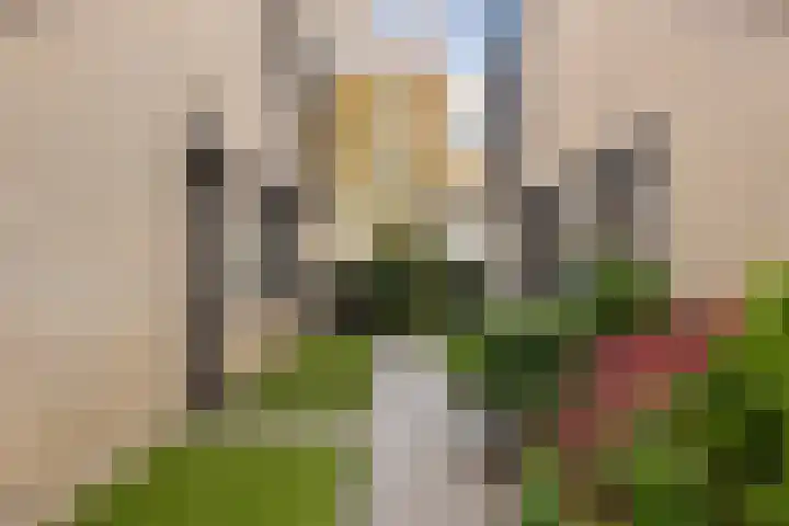 Dommeldal 62 Boxtel thumbnail 9
