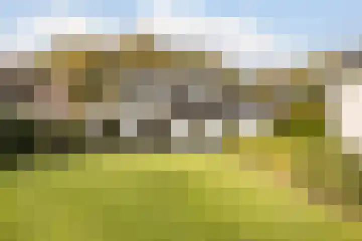 Dommelerdijk 109 Nieuwleusen thumbnail 45