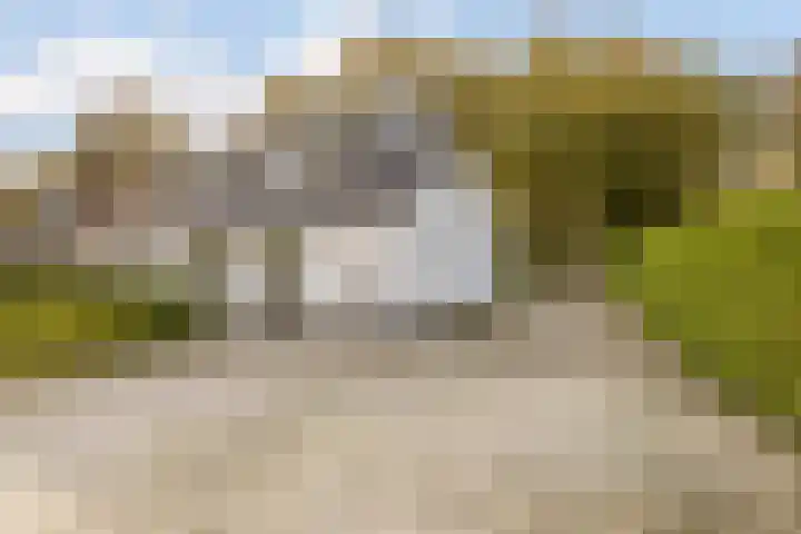 Dommelerdijk 109 Nieuwleusen thumbnail 47