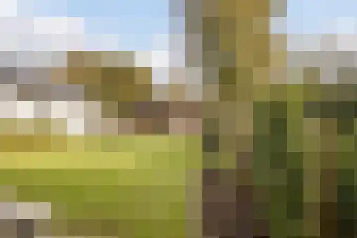 Dommelerdijk 109 Nieuwleusen thumbnail 48