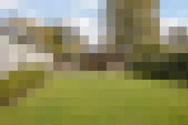 Dommelerdijk 109 Nieuwleusen thumbnail 49