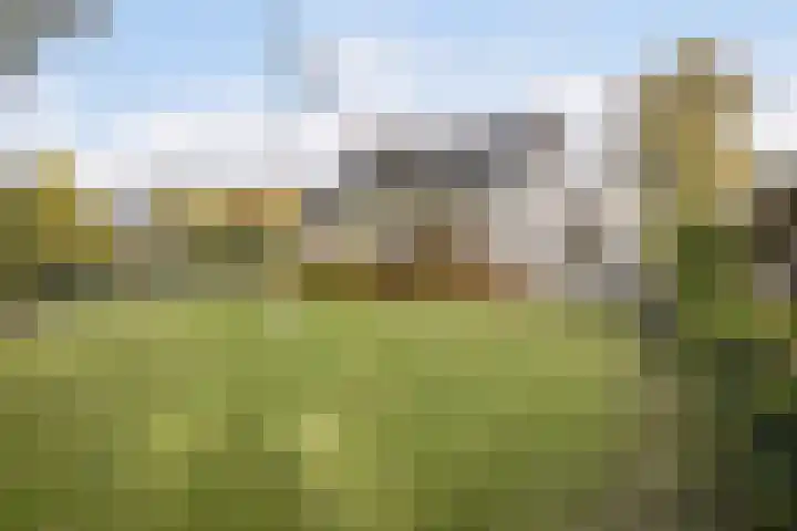 Dommelerdijk 109 Nieuwleusen thumbnail 5