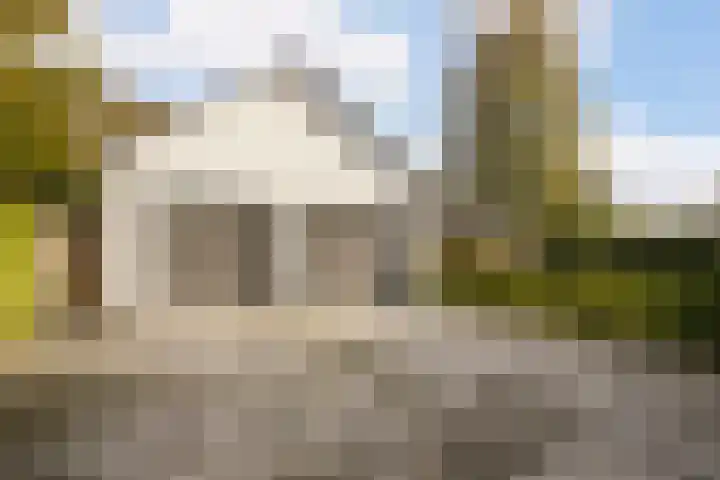 Dommelerdijk 109 Nieuwleusen thumbnail 54