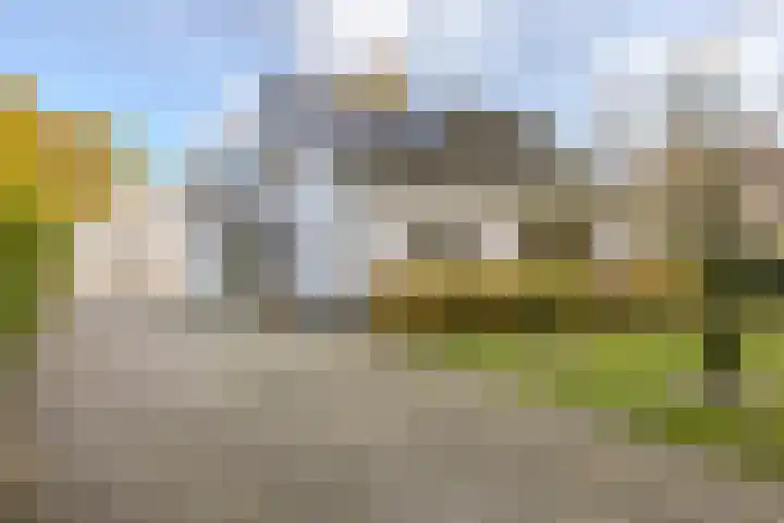 Dommelerdijk 109 Nieuwleusen thumbnail 6