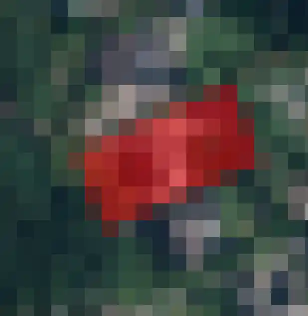 Dommelerdijk 109 Nieuwleusen thumbnail 68