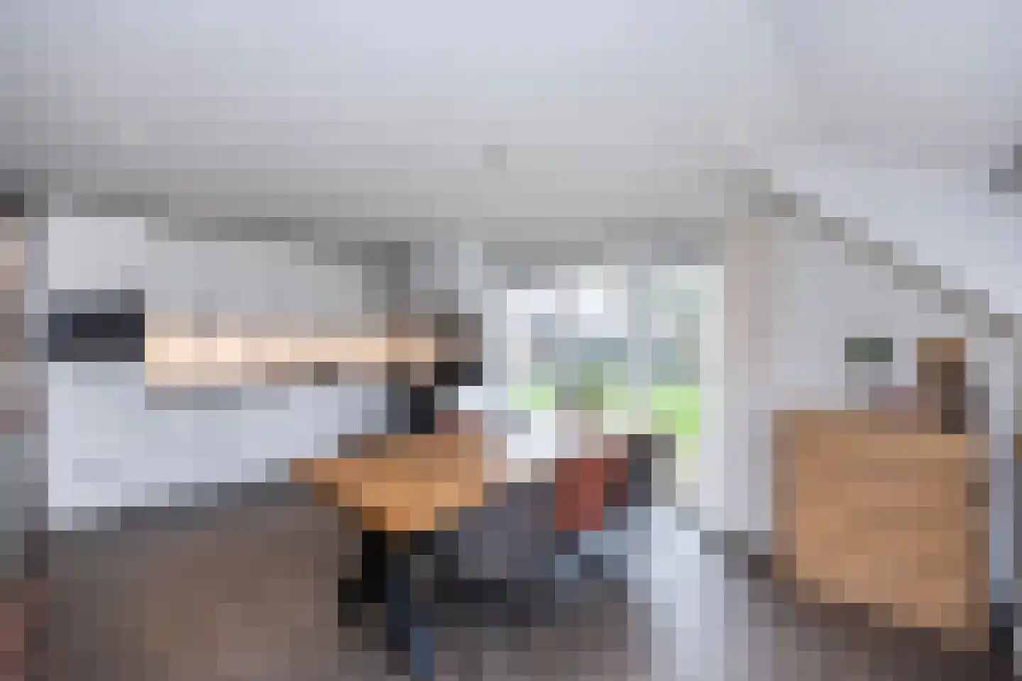 Dommelerdijk 113 Nieuwleusen thumbnail 14