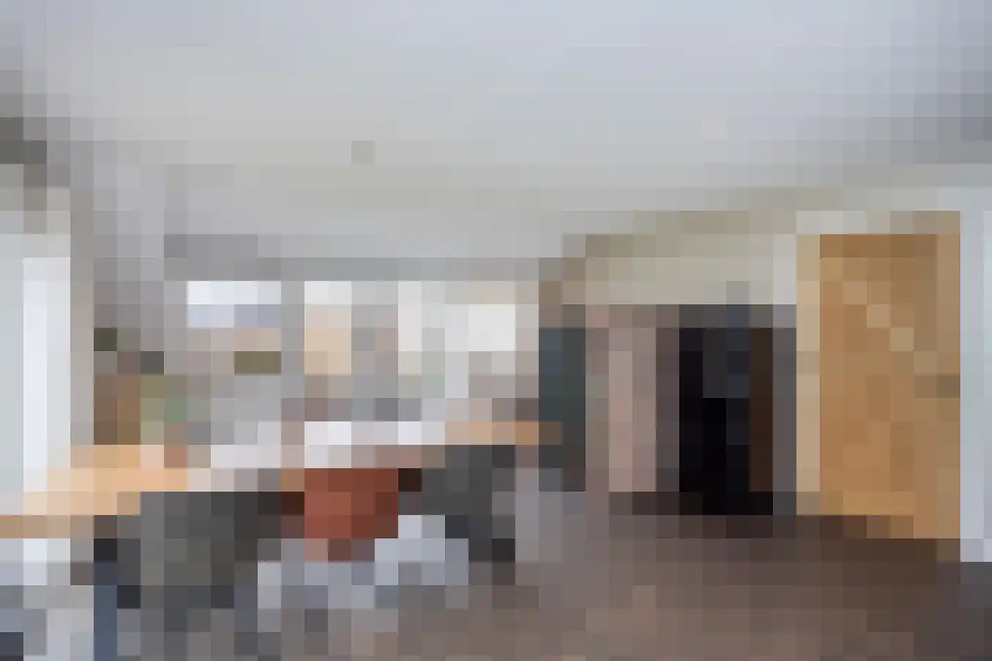 Dommelerdijk 113 Nieuwleusen thumbnail 17