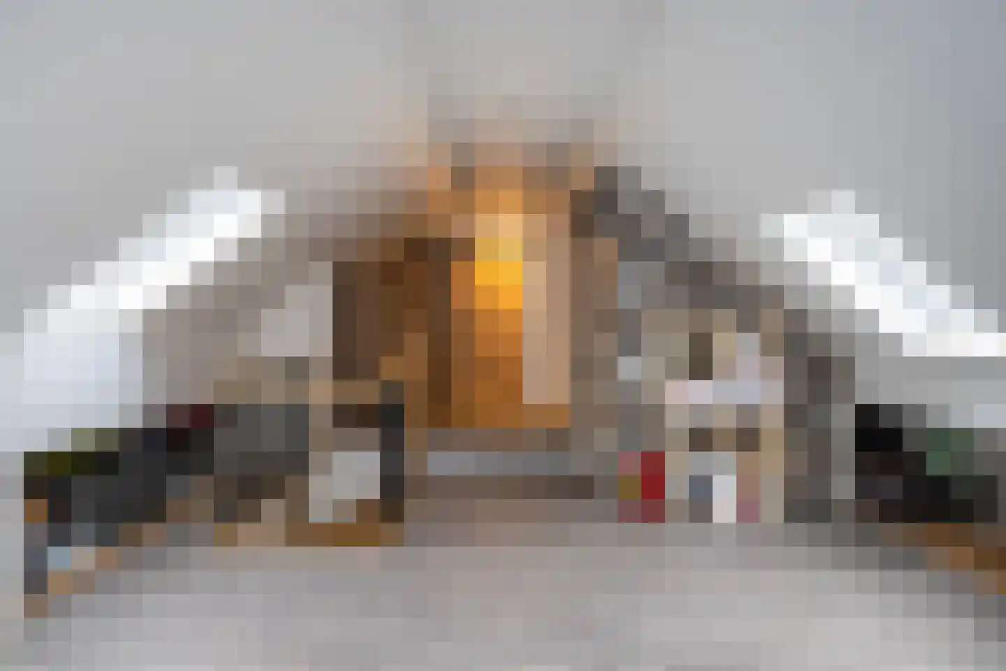 Dommelerdijk 113 Nieuwleusen thumbnail 30