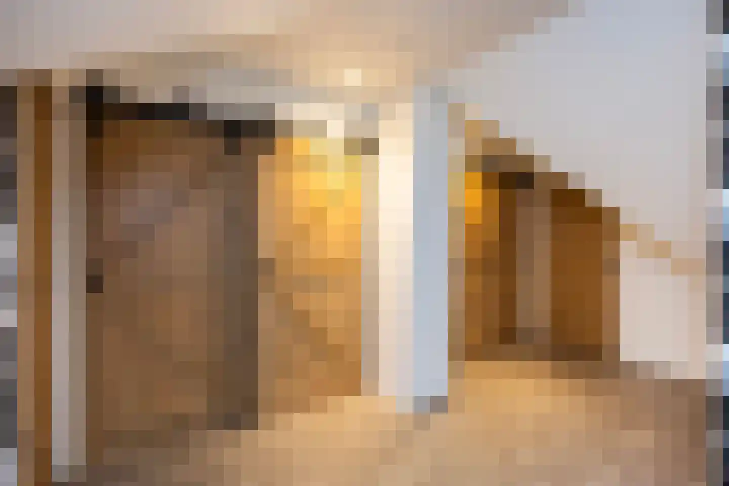 Dommelerdijk 113 Nieuwleusen thumbnail 32
