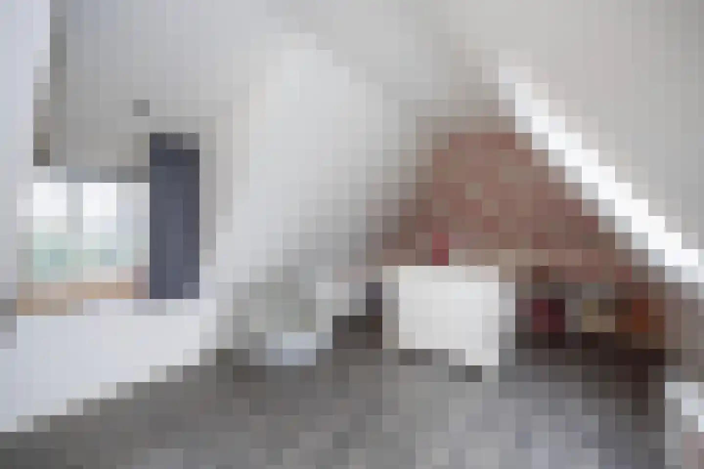 Dommelerdijk 113 Nieuwleusen thumbnail 33