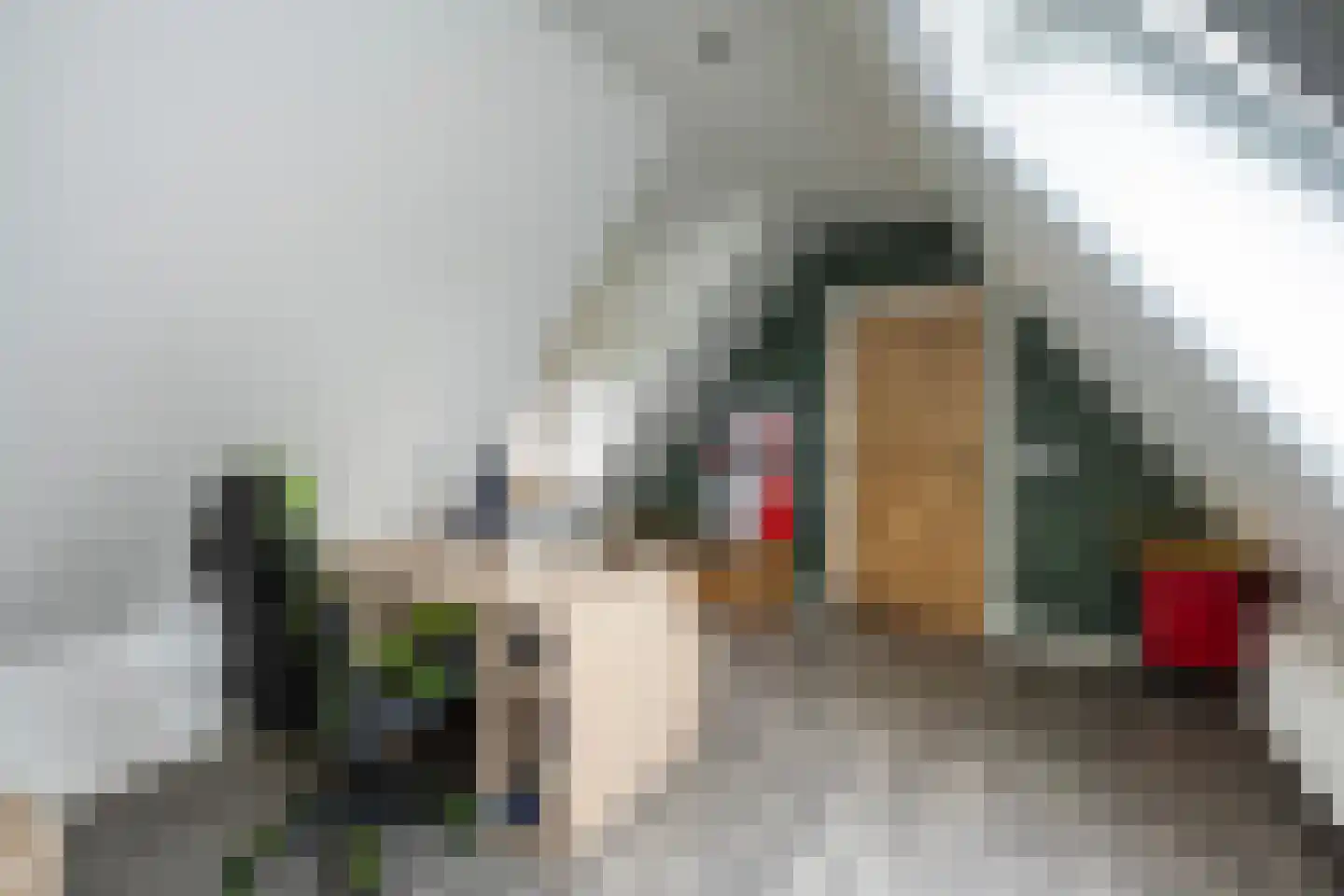 Dommelerdijk 113 Nieuwleusen thumbnail 36