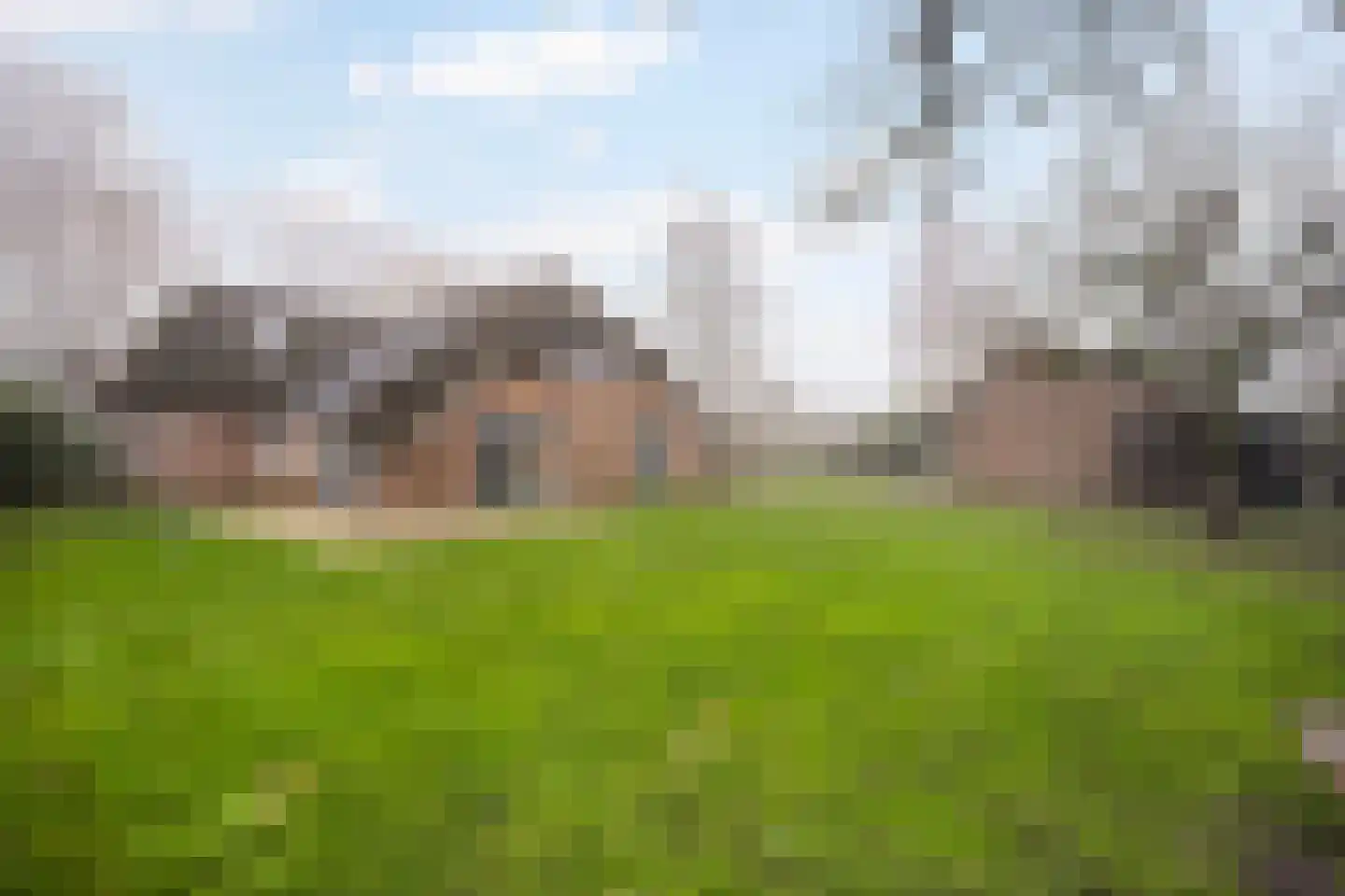 Dommelerdijk 113 Nieuwleusen thumbnail 39