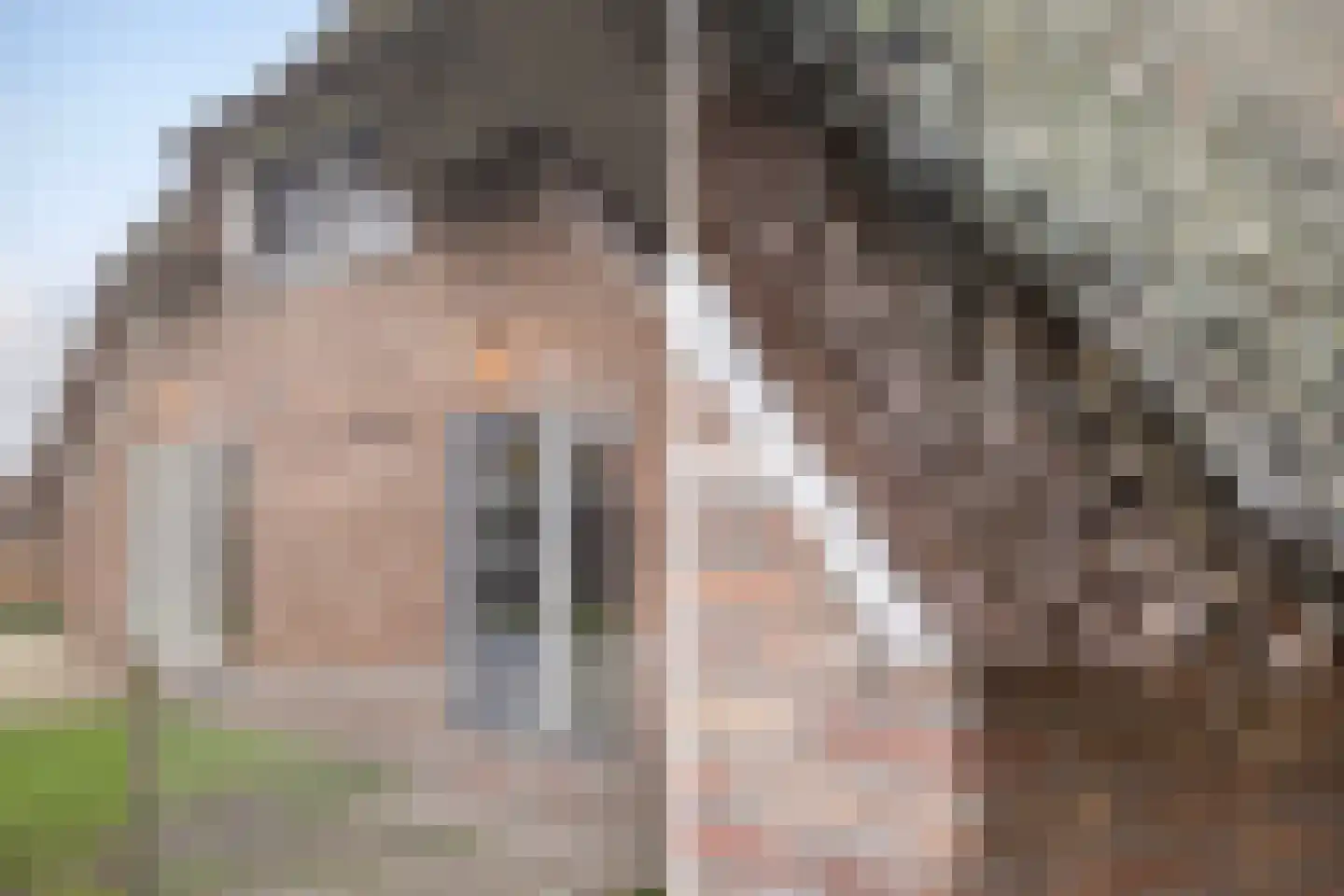 Dommelerdijk 113 Nieuwleusen thumbnail 40