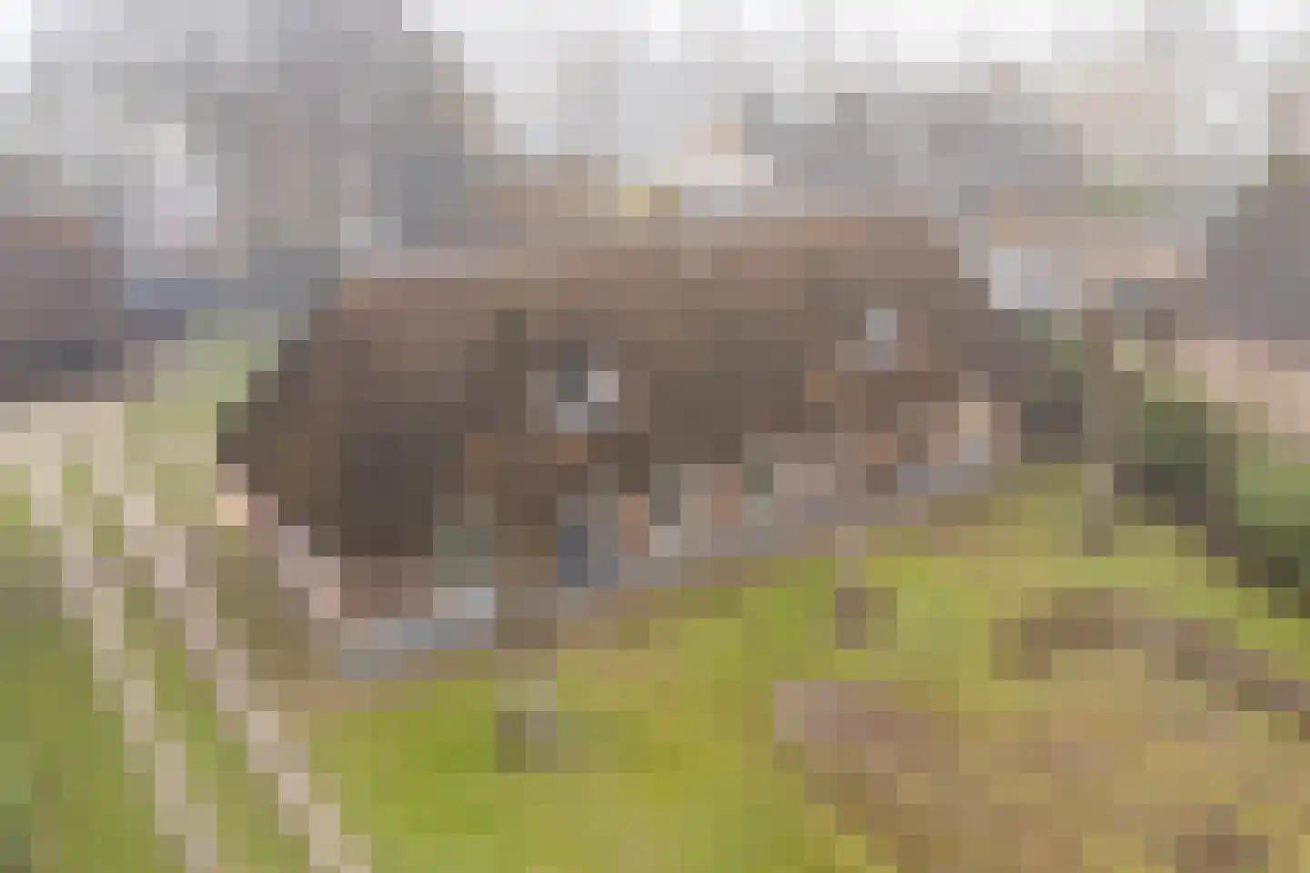 Dommelerdijk 113 Nieuwleusen thumbnail 5