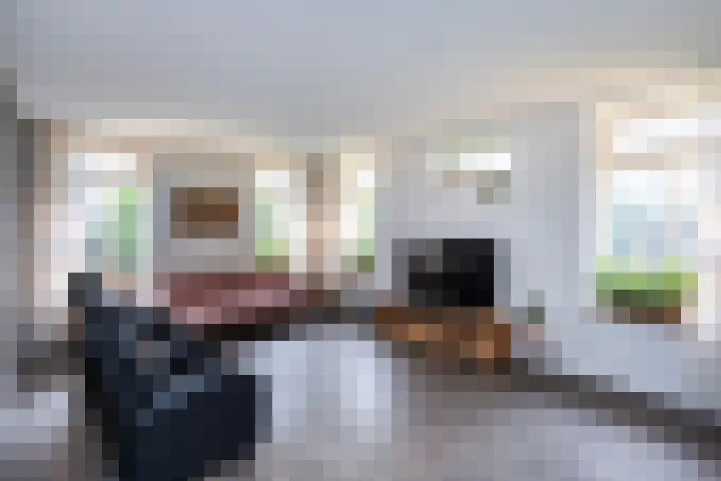 Dommelerdijk 113 Nieuwleusen thumbnail 8