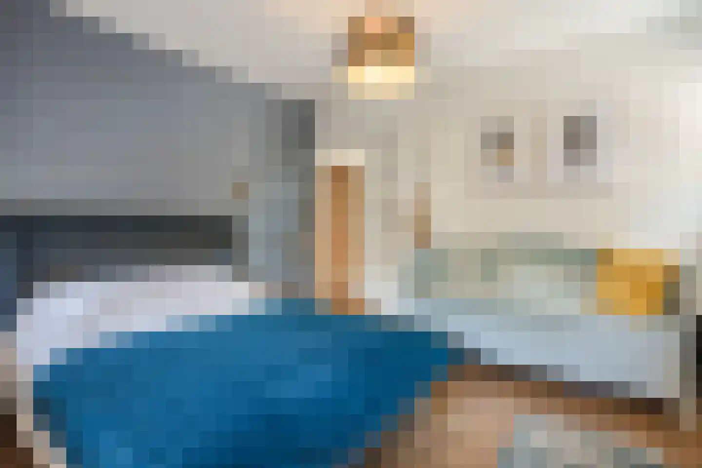 Dommelerdijk 16 Dalfsen thumbnail 18