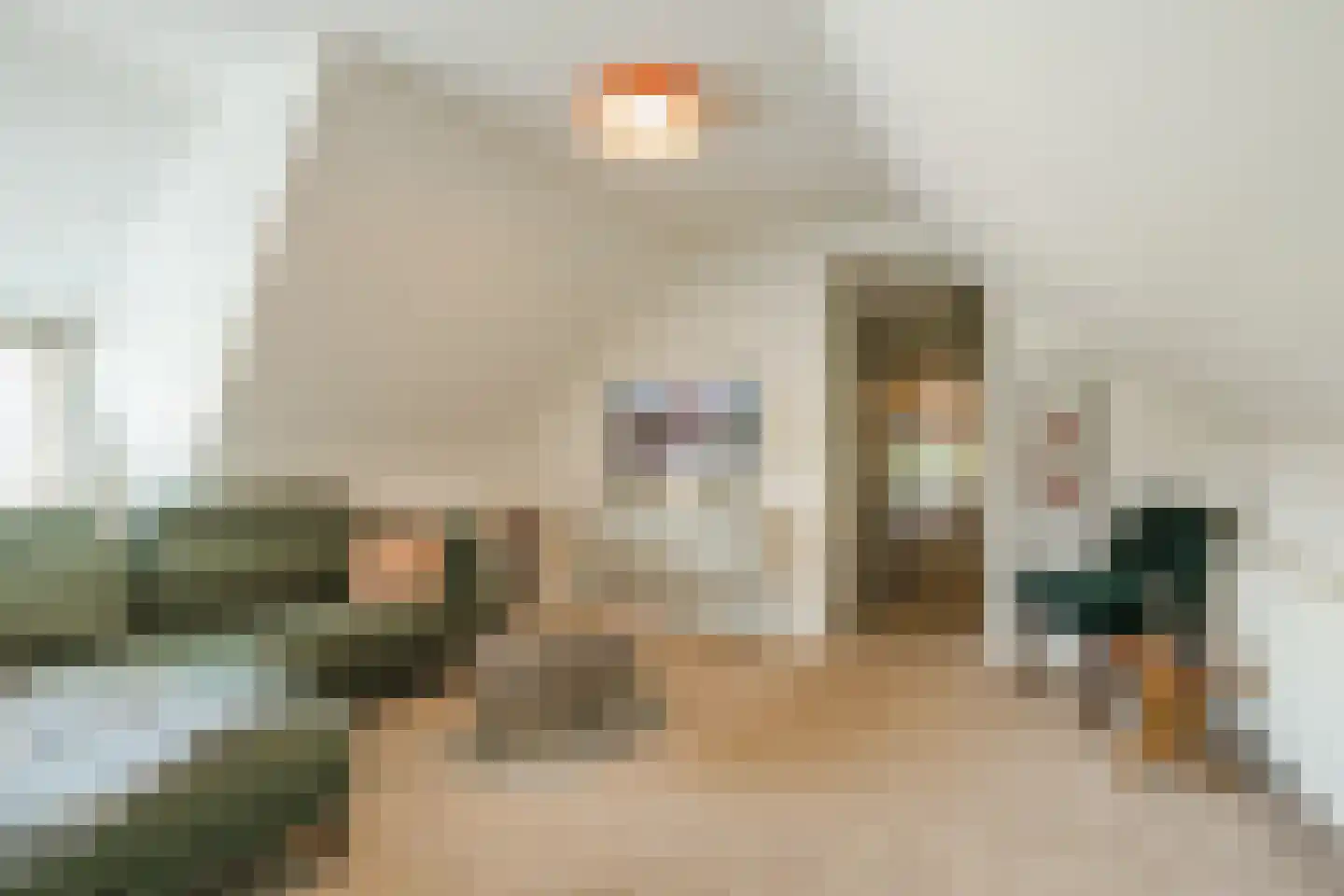 Dommelerdijk 16 Dalfsen thumbnail 24