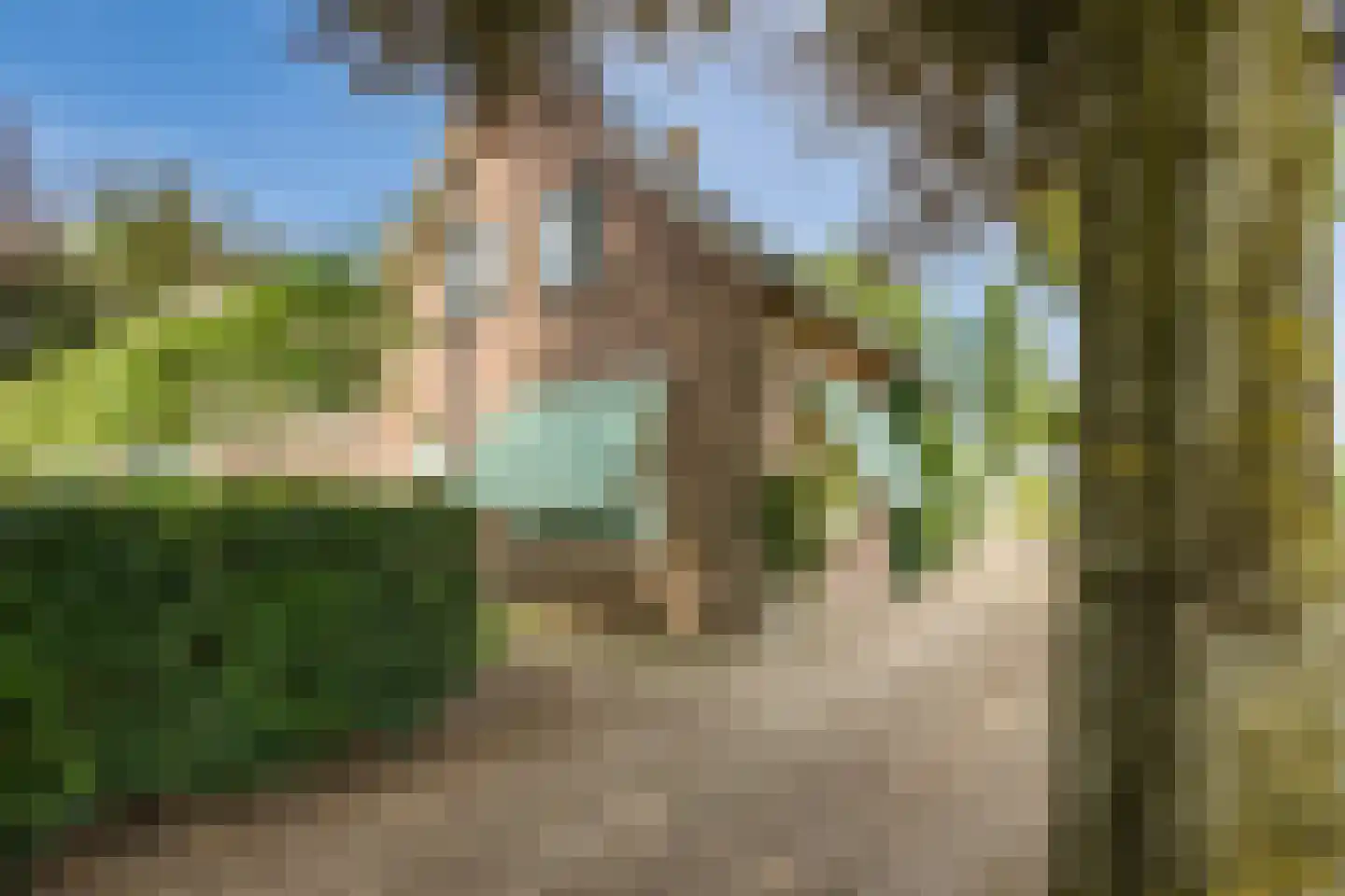 Dommelerdijk 16 Dalfsen thumbnail 34
