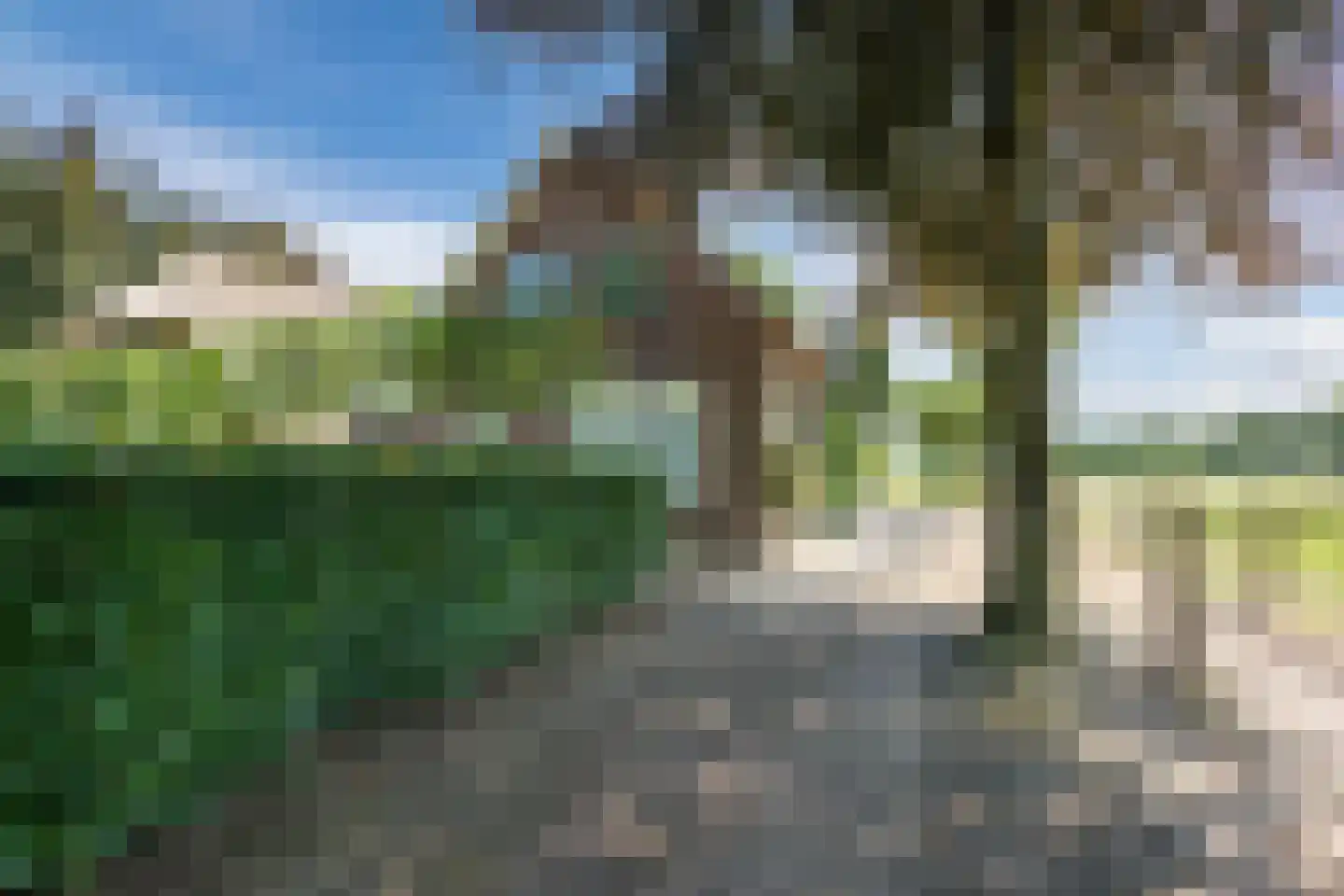Dommelerdijk 16 Dalfsen thumbnail 35