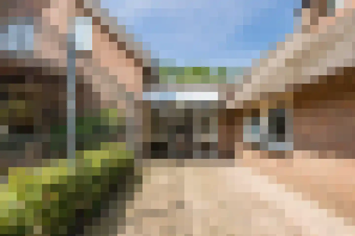 Dommelerdijk 16 Dalfsen thumbnail 36