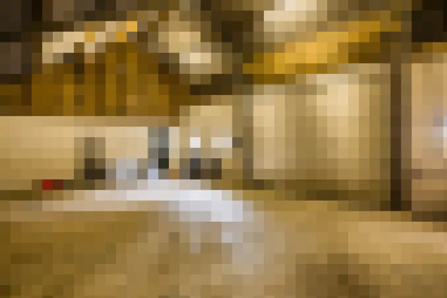 Dommelerdijk 16 Dalfsen thumbnail 64