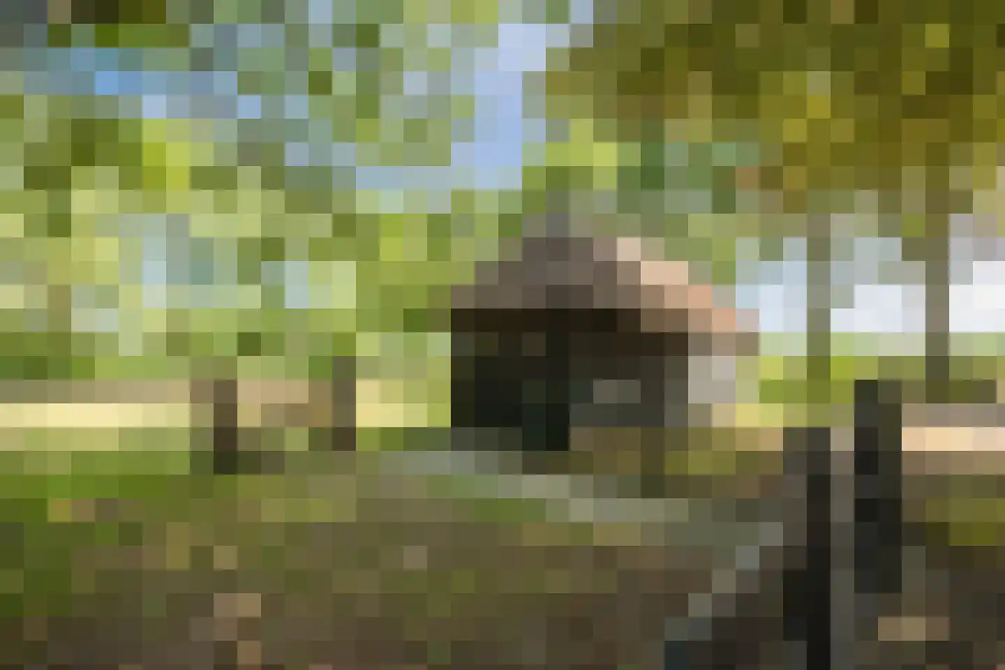 Dommelerdijk 16 Dalfsen thumbnail 68