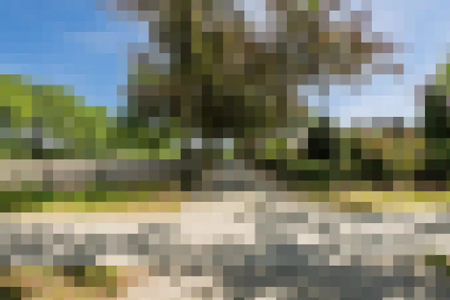 Dommelerdijk 16 Dalfsen thumbnail 72