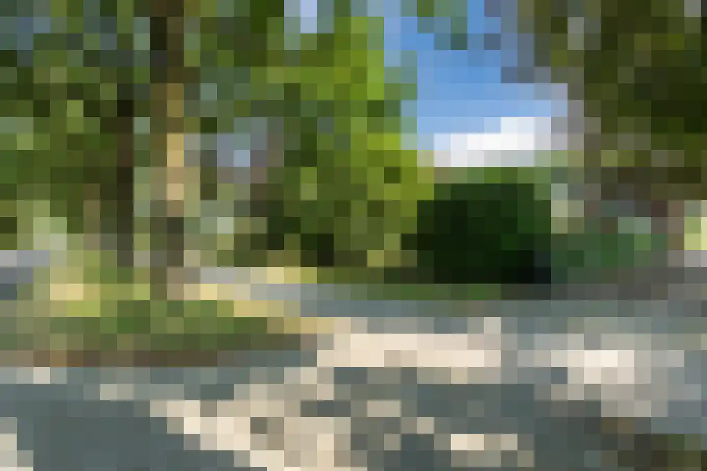 Dommelerdijk 16 Dalfsen thumbnail 73