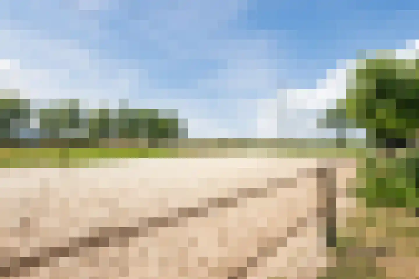 Dommelerdijk 16 Dalfsen thumbnail 88