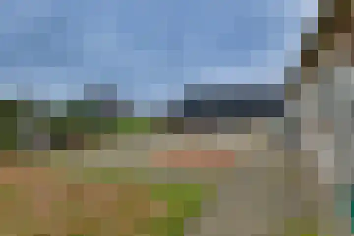 Dommelerdijk 26 Dalfsen thumbnail 36