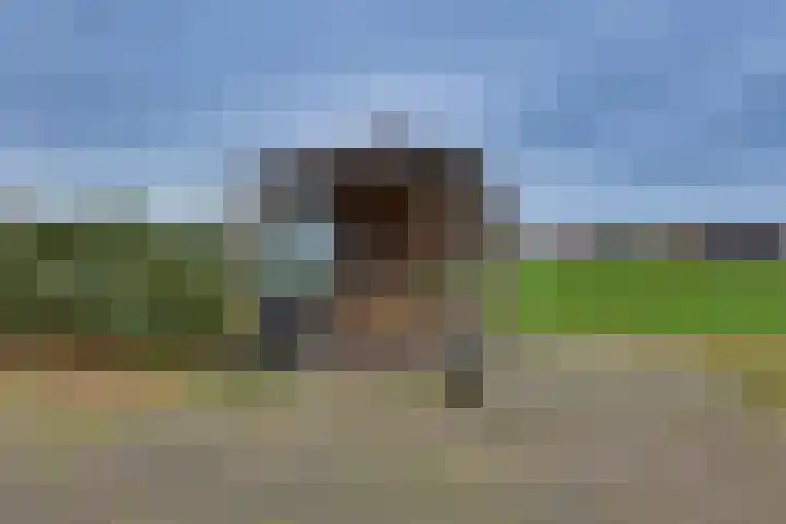 Dommelerdijk 26 Dalfsen thumbnail 37