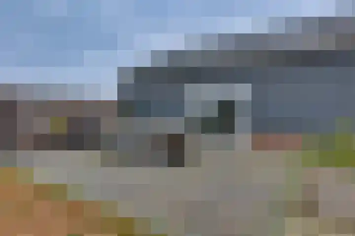Dommelerdijk 26 Dalfsen thumbnail 38