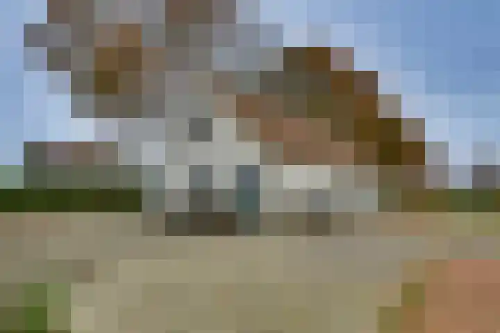 Dommelerdijk 26 Dalfsen thumbnail 39