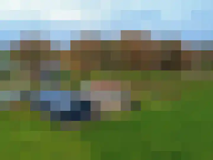 Dommelerdijk 26 Dalfsen thumbnail 6