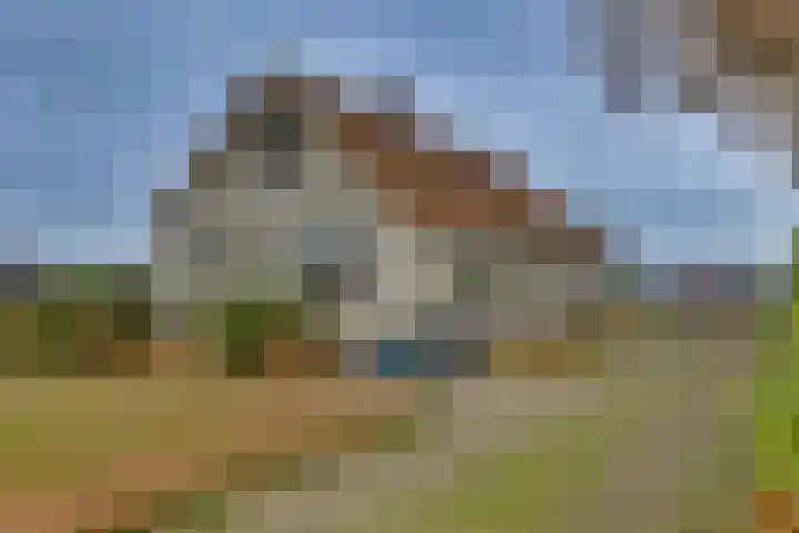 Dommelerdijk 26 Dalfsen thumbnail 9