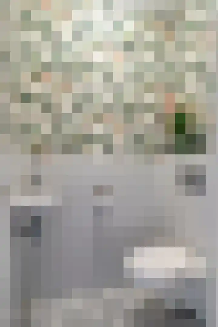 Dommelhoefstraat 100 Eindhoven thumbnail 11