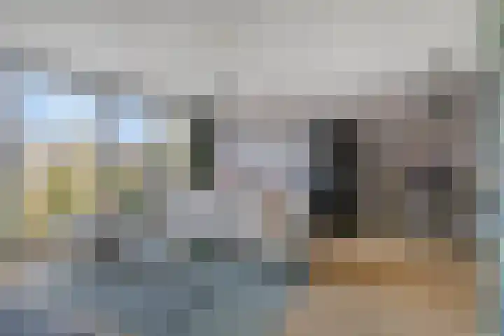 Dommelhoefstraat 100 Eindhoven thumbnail 12
