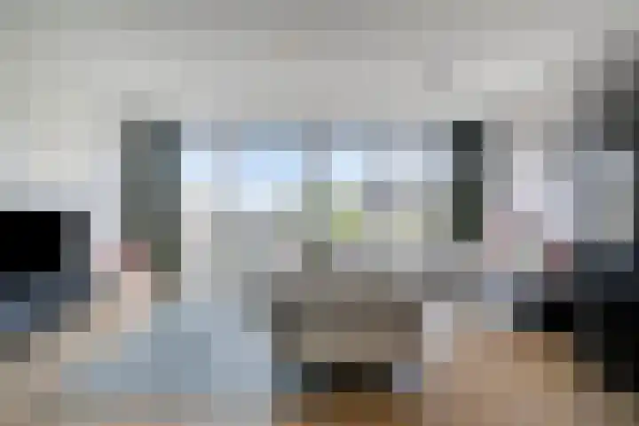 Dommelhoefstraat 100 Eindhoven thumbnail 13