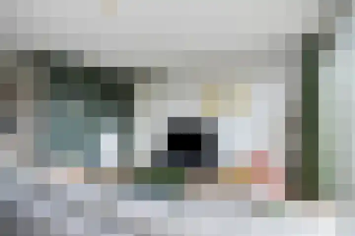 Dommelhoefstraat 100 Eindhoven thumbnail 16