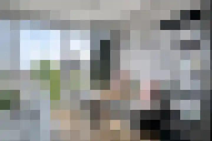 Dommelhoefstraat 100 Eindhoven thumbnail 17
