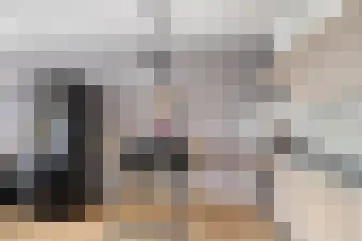 Dommelhoefstraat 100 Eindhoven thumbnail 20