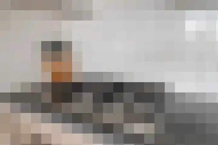 Dommelhoefstraat 100 Eindhoven thumbnail 21