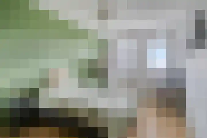 Dommelhoefstraat 100 Eindhoven thumbnail 22