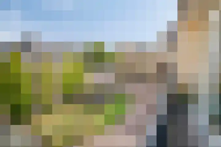 Dommelhoefstraat 100 Eindhoven thumbnail 31