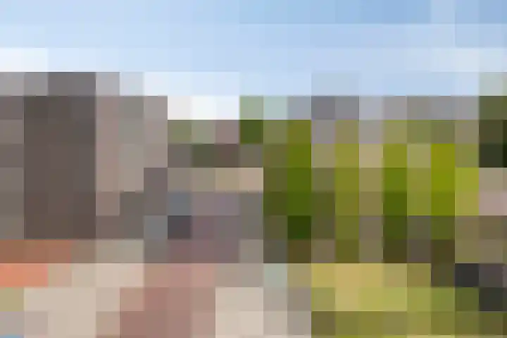 Dommelhoefstraat 100 Eindhoven thumbnail 32